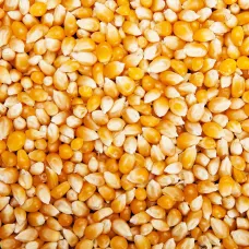 Mais pop corn king 1kg