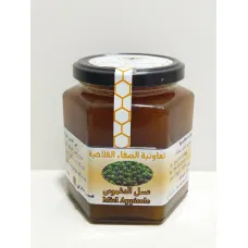 Miel appicole 500g csa