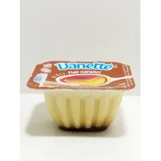 Danette flan caramel 80g danone