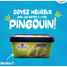 Pingouin glace boite vanille pistache  1l