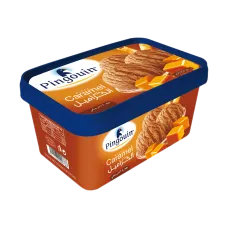 Pingouin glace boite caramel  1l