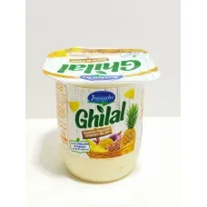 Yaourt ananas passion graines de lin ghilal 110g