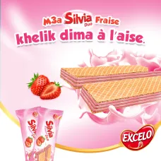 Biscuit silvia duo raibi 26g