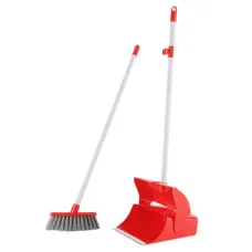 Brosse et pelle poussiere zambak