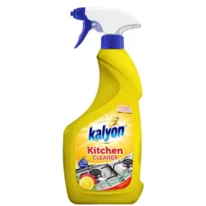 Nettoyant pour lacier inoxydable kalyon 750ml